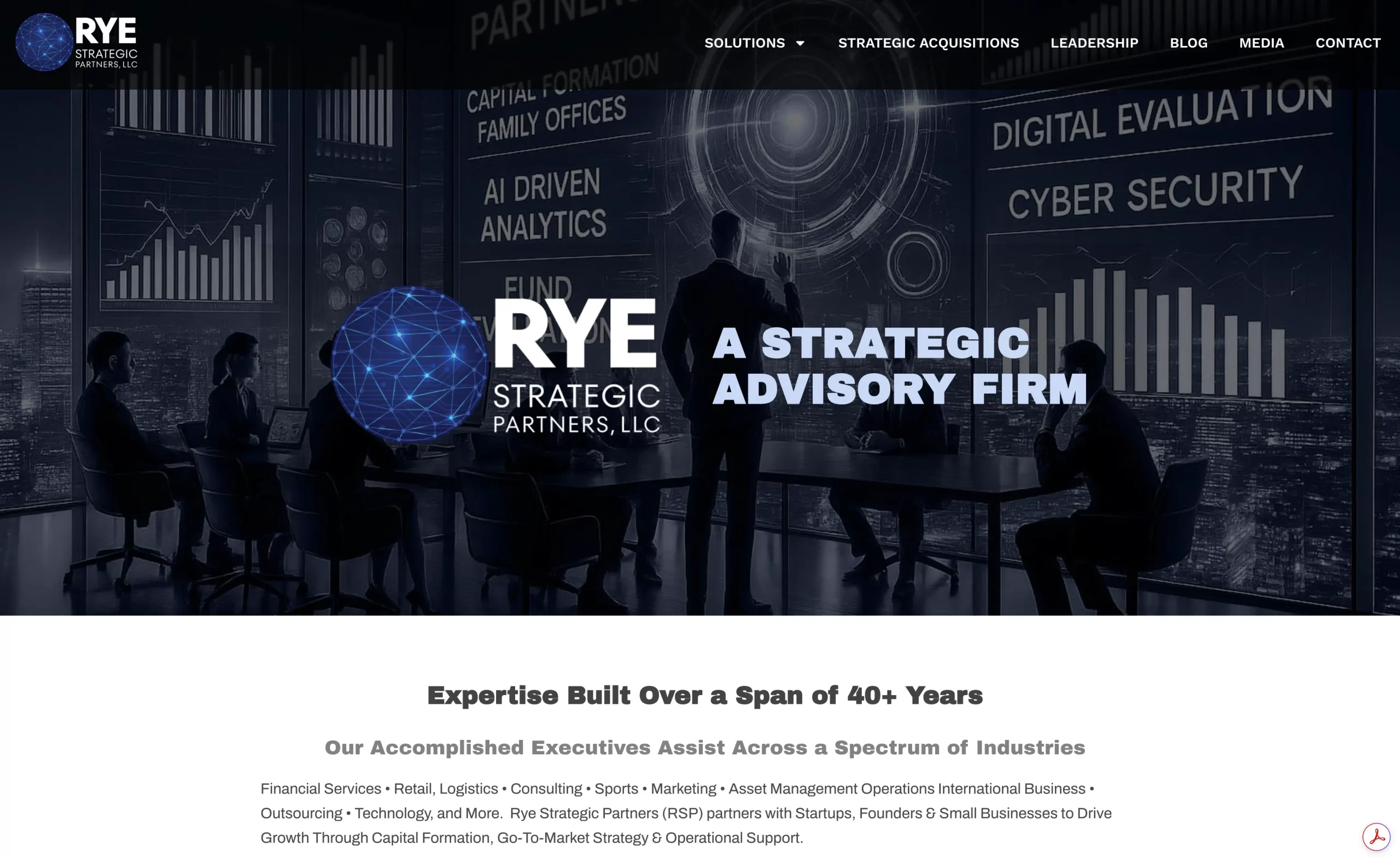 RYE STRATEGIC PARTNERSHIPS